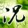 一比一原版普瓦提埃高等工程师学校文凭【degxx.com】